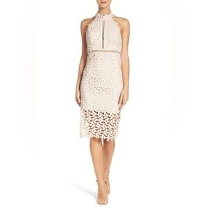 Women's Bardot Gemma Halter Lace Sheath Dress, Size 6 Small - Beige